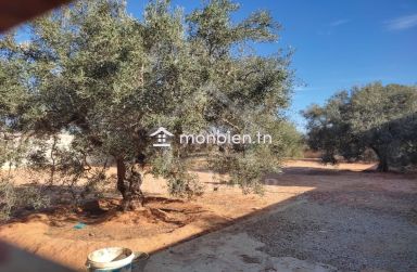 Terrain clôturé de 876 m² à Hammamet Sud à vendre 51355351