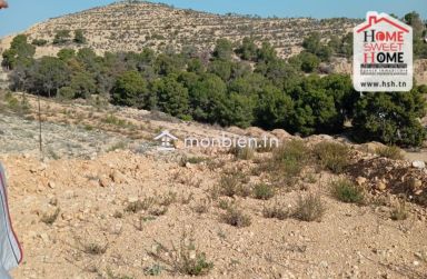 Terrain de Villa La Côte à Vendre à Riadh EL Andalous