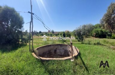 Terrain agricole de 71223m² à Mhadhba, Nabeul