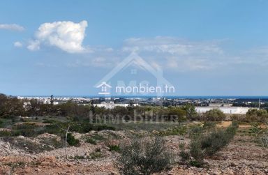 Lot de terrain de 200 m² à Hammamet Sud à vendre 51355351