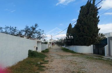 Terrain de 400 m² à vendre à Hammamet Zone théâtre 51355351