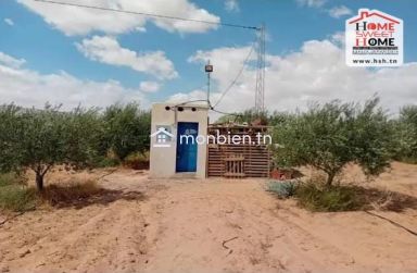 Terrain Agricole Ferraduel à Gafsa