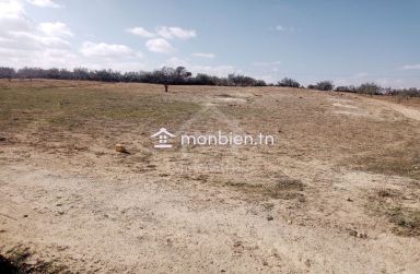 Terrain de 2800 m² à Hammamet Sud à vendre 51355351