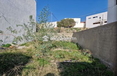 Terrain de 101 m² à vendre à Hammamet 51355351