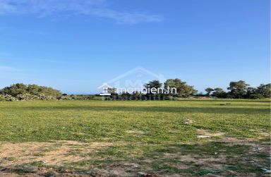 2 lots de terrain vue de mer à vendre à Jinen Béni Khiar 51355351