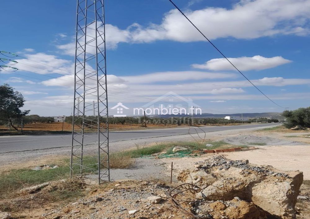 Terrain de 200 m² sur la route principale à Hammamet Sud à vendre 51355351